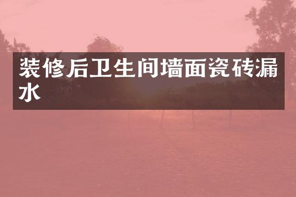 装修后卫生间墙面瓷砖漏水