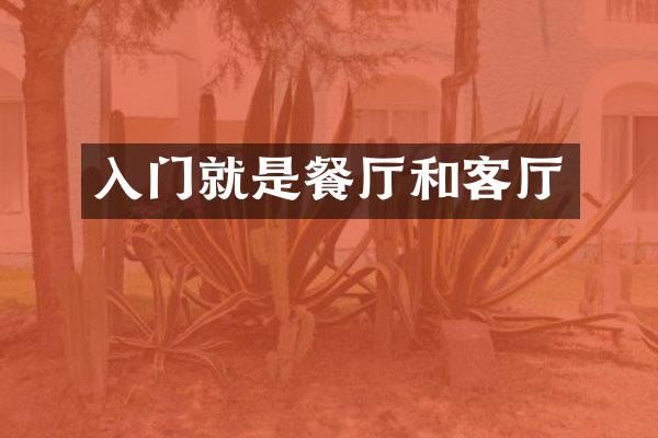 入门就是餐厅和客厅