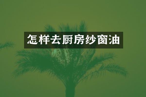 怎样去厨房纱窗油