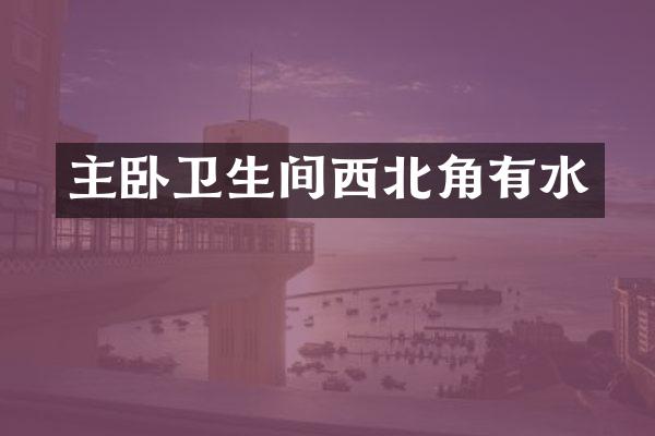 主卧卫生间西北角有水