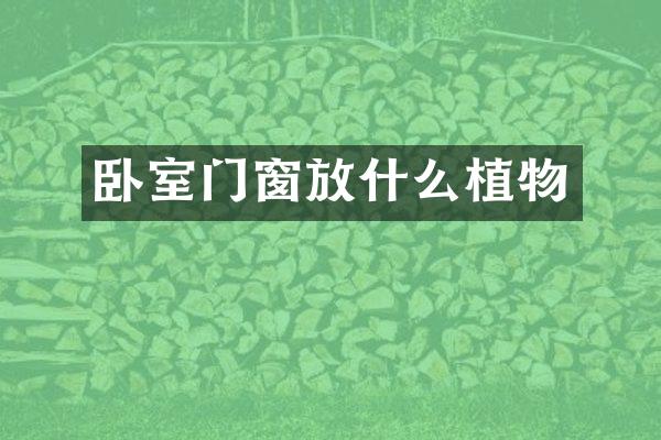 卧室门窗放什么植物
