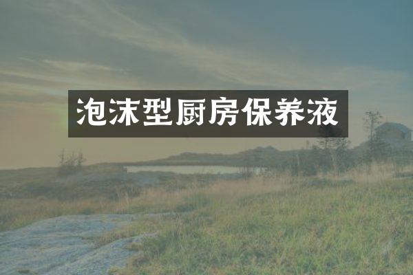 泡沫型厨房保养液