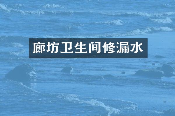 廊坊卫生间修漏水