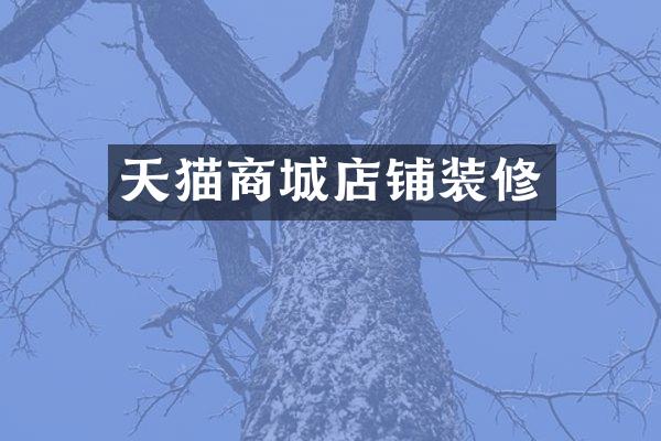 天猫商城店铺装修