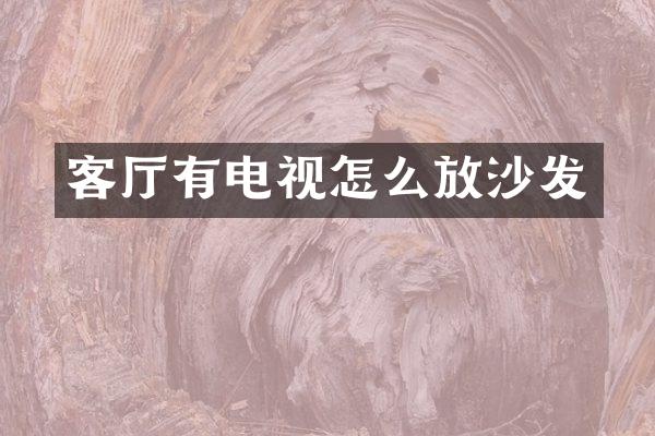 客厅有电视怎么放沙发