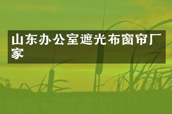 山东办公室遮光布窗帘厂家