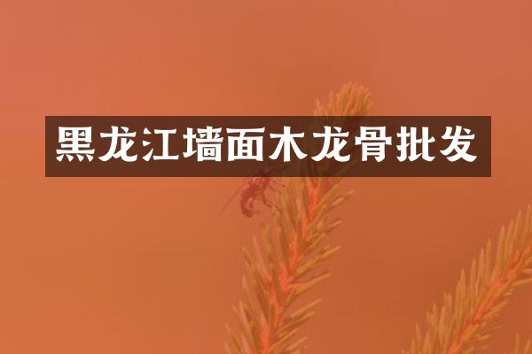 黑龙江墙面木龙骨批发