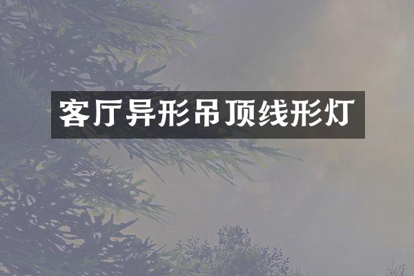 客厅异形吊顶线形灯