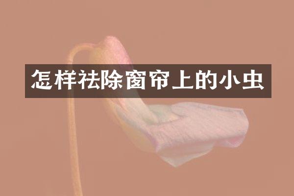 怎样祛除窗帘上的小虫