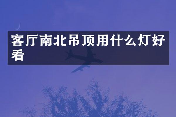 客厅南北吊顶用什么灯好看