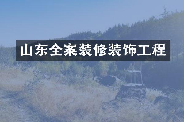 山东全案装修装饰工程