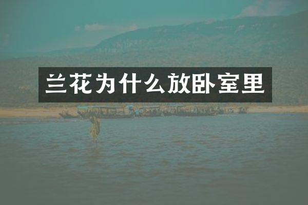 兰花为什么放卧室里