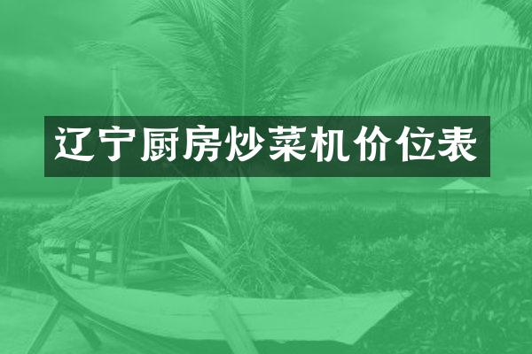 辽宁厨房炒菜机价位表