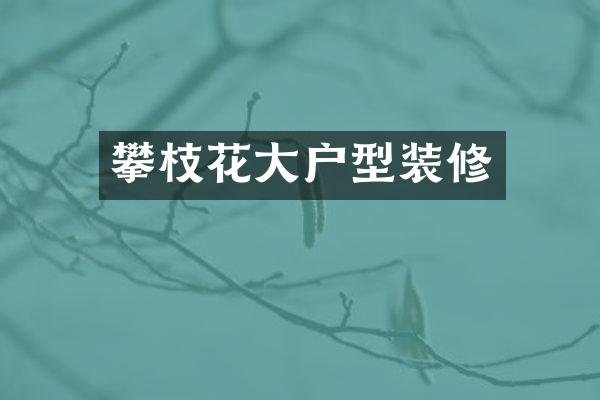 攀枝花大户型装修