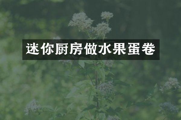 迷你厨房做水果蛋卷