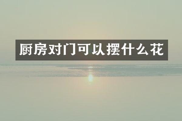 厨房对门可以摆什么花