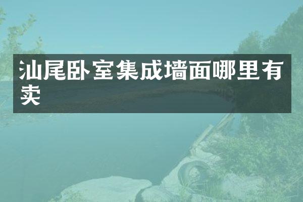 汕尾卧室集成墙面哪里有卖