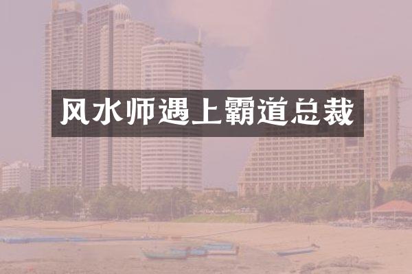 风水师遇上霸道总裁