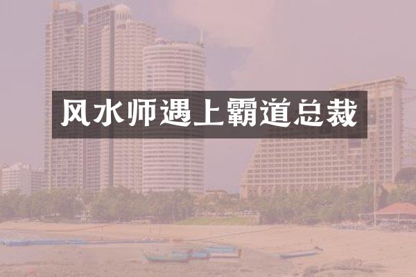 风水师遇上霸道总裁