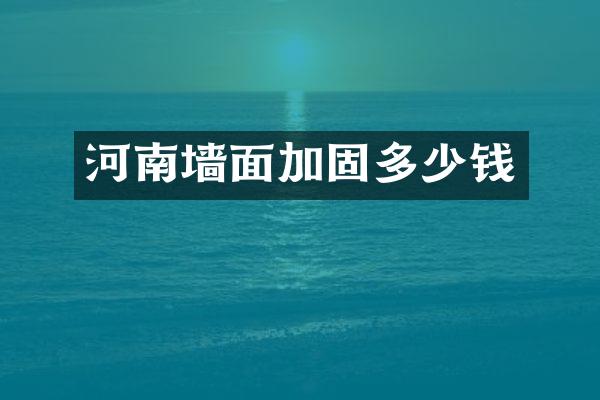 河南墙面加固多少钱