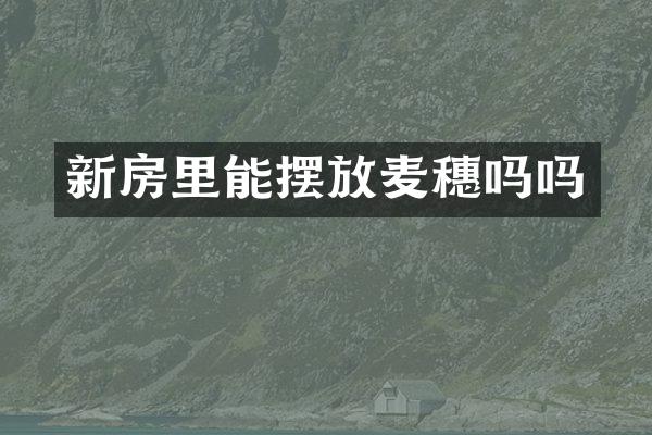 新房里能摆放麦穗吗吗