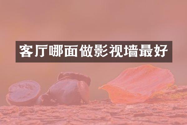 客厅哪面做影视墙最好