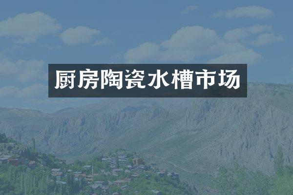 厨房陶瓷水槽市场