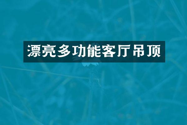 漂亮多功能客厅吊顶