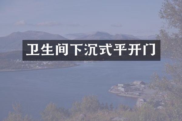 卫生间下沉式平开门