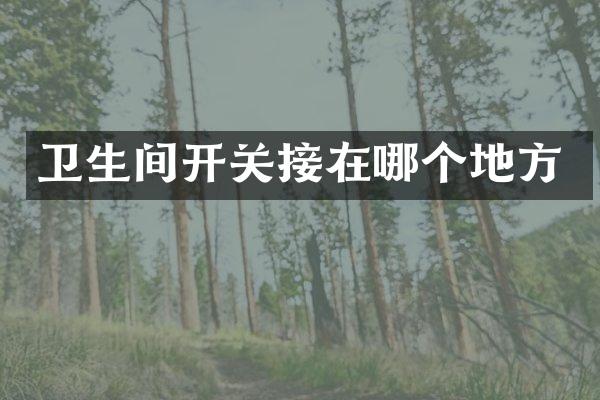 卫生间开关接在哪个地方