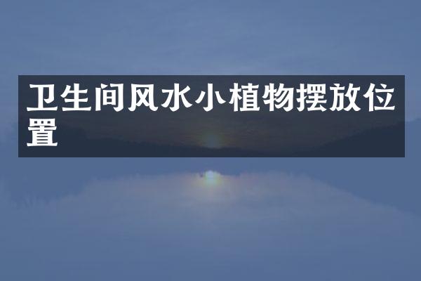 卫生间风水小植物摆放位置
