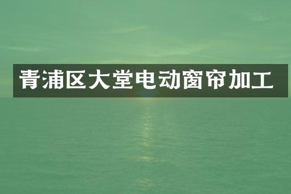 青浦区大堂电动窗帘加工