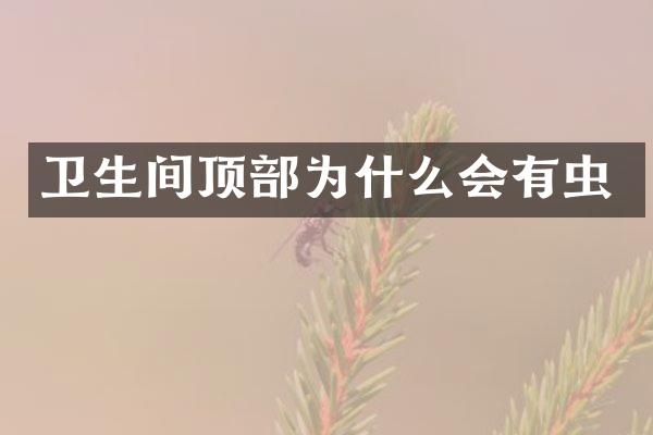 卫生间顶部为什么会有虫