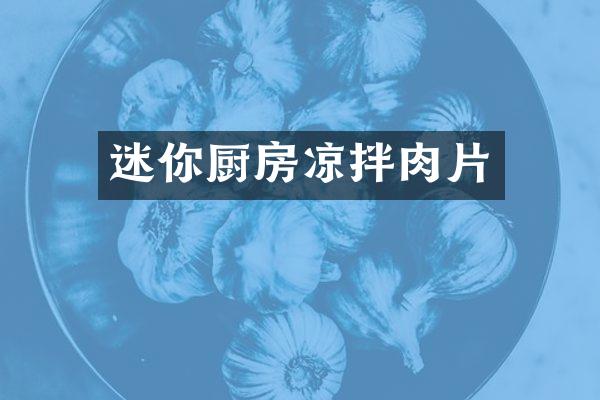 迷你厨房凉拌肉片