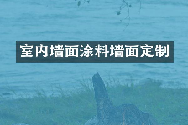 室内墙面涂料墙面定制