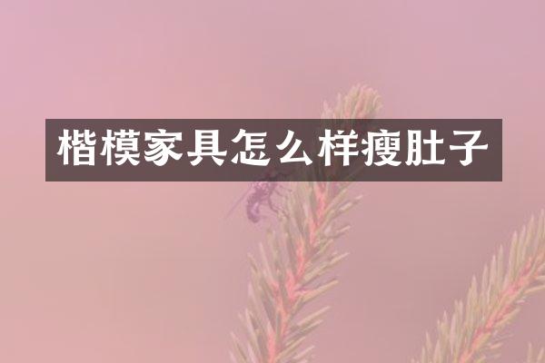 楷模家具怎么样瘦肚子