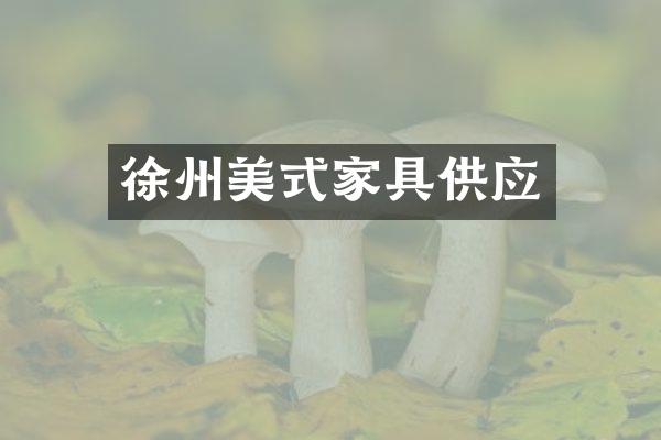 徐州美式家具供应