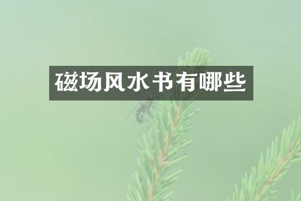 磁场风水书有哪些