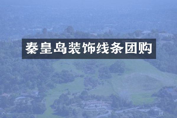 秦皇岛装饰线条团购