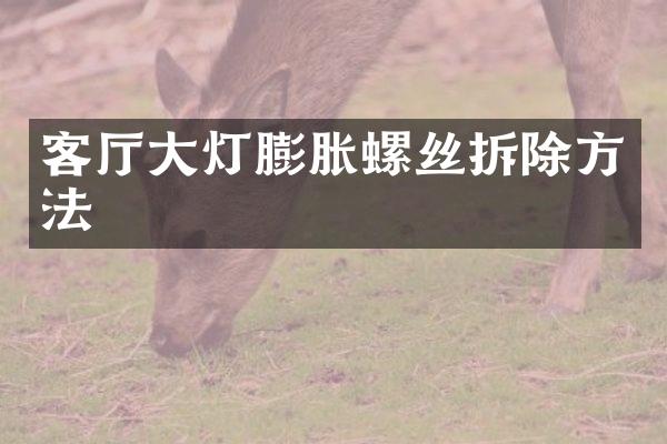 客厅大灯膨胀螺丝拆除方法