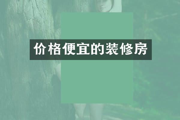 价格便宜的装修房