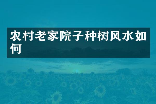 农村老家院子种树风水如何