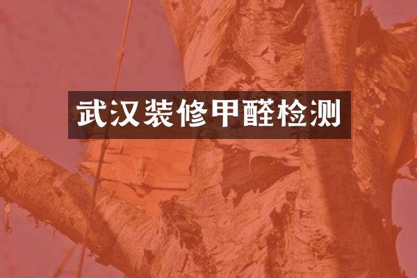 武汉装修甲醛检测