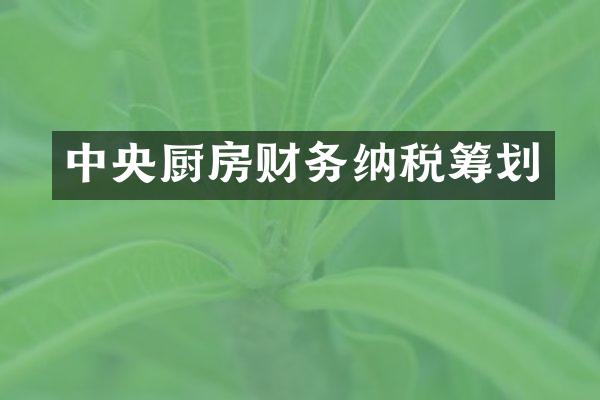 中央厨房财务纳税筹划