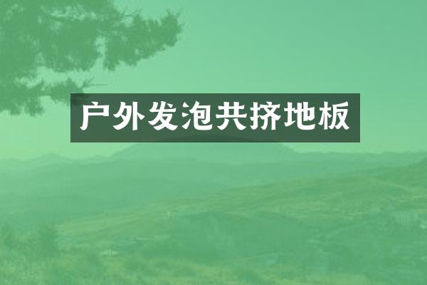 户外发泡共挤地板