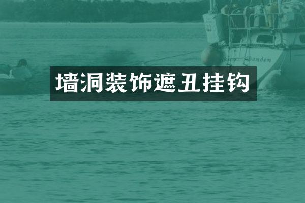 墙洞装饰遮丑挂钩