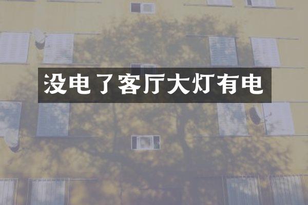 没电了客厅大灯有电