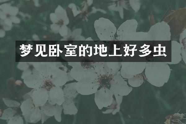 梦见卧室的地上好多虫