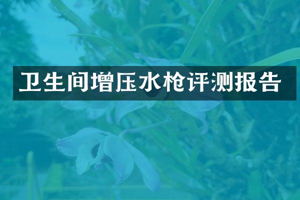 卫生间增压水枪评测报告