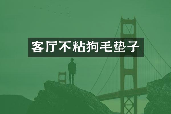 客厅不粘狗毛垫子